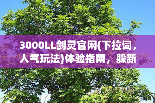 3000LL剑灵官网图片