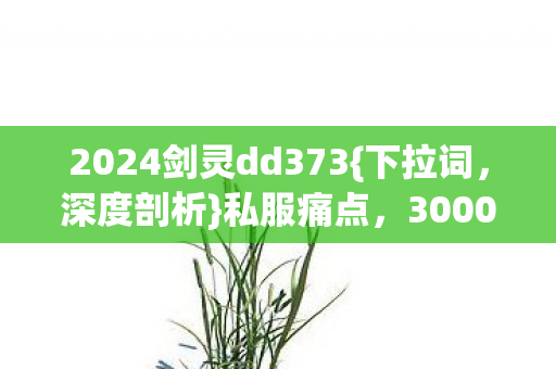 2024剑灵dd373图片