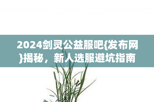 2024剑灵公益服吧图片