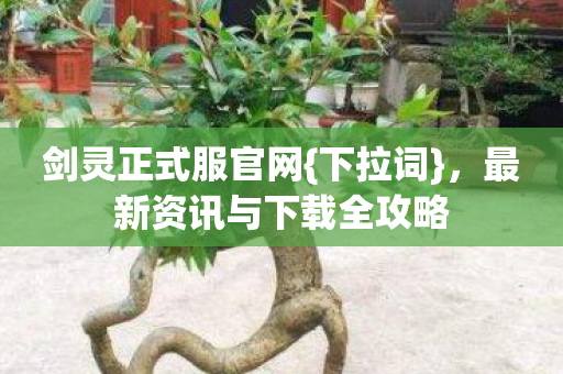 剑灵正式服官网{下拉词}，最新资讯与下载全攻略