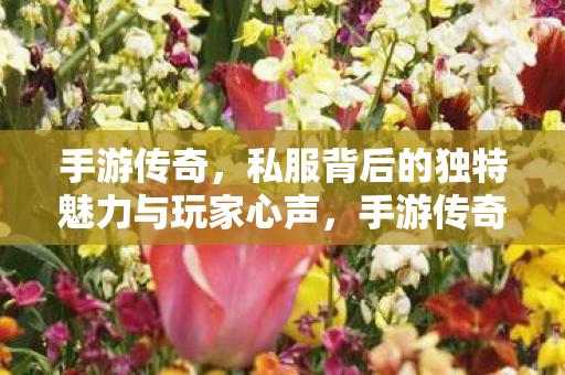 手游传奇,私服背后的独特魅力与玩家心声,手游传奇,私服背后的独特魅力与玩家心声揭秘 手游传奇,私服背后的独特魅力与玩家心声,手游传奇,私服背后的独特魅力与玩家心声揭秘