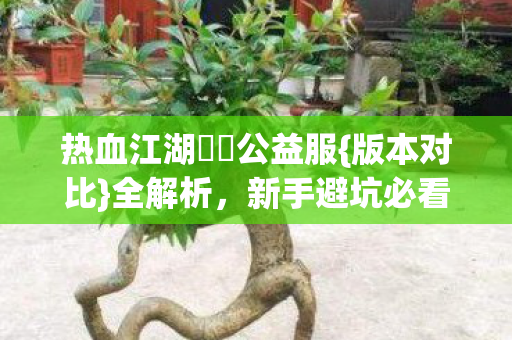 热血江湖歸來公益服图片