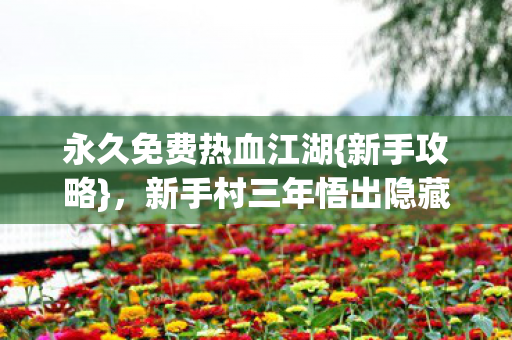新手村三年悟出隐藏玩法图片