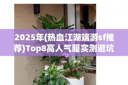 Top8高人气服实测避坑指南图片