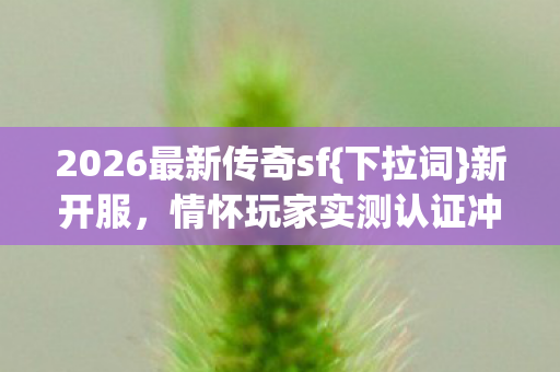 2026最新传奇sf{下拉词}新开服,情怀玩家实测认证冲不冲 2026最新传奇sf{下拉词}新开服,情怀玩家实测认证冲不冲