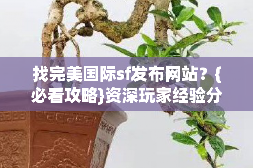 找完美国际sf发布网站图片