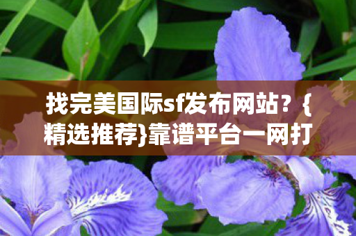 找完美国际sf发布网站图片