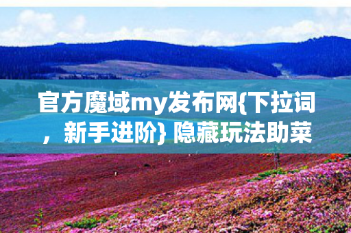 隐藏玩法助菜鸟变大神图片