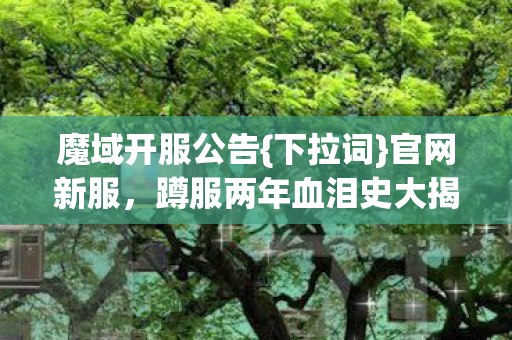 魔域开服公告{下拉词}官网新服，蹲服两年血泪史大揭秘