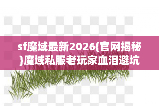 魔域私服老玩家血泪避坑指南图片
