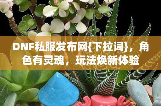 DNF私服发布网{下拉词},角色有灵魂,玩法焕新体验 DNF私服发布网{下拉词},角色有灵魂,玩法焕新体验