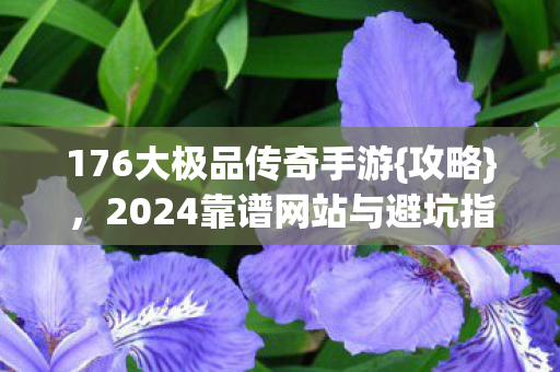 176大极品传奇手游{攻略}，2024靠谱网站与避坑指南