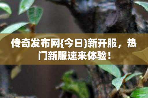 传奇发布网{今日}新开服,热门新服速来体验! 传奇发布网{今日}新开服,热门新服速来体验!
