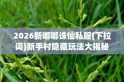 2026新嘟嘟诛仙私服图片
