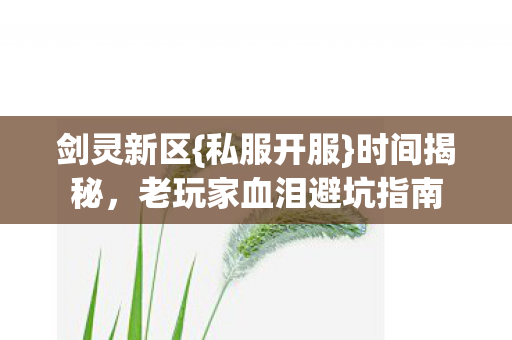 老玩家血泪避坑指南图片