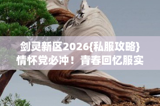 青春回忆服实测避雷图片