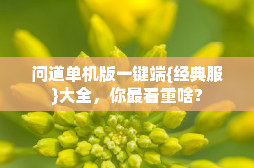 问道单机版一键端图片