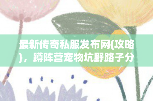 蹲阵营宠物坑野路子分享图片