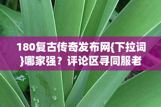 180复古传奇发布网{下拉词}哪家强?评论区寻同服老兄弟 180复古传奇发布网{下拉词}哪家强?评论区寻同服老兄弟