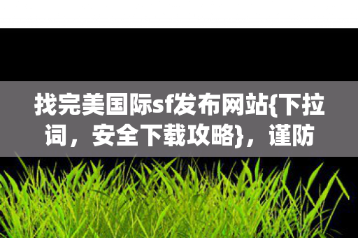 找完美国际sf发布网站图片