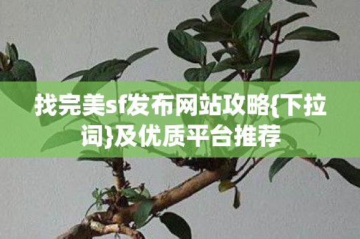 找完美sf发布网站攻略图片