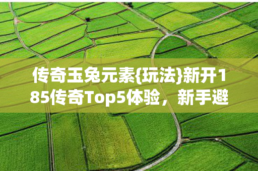 传奇玉兔元素{玩法}新开185传奇Top5体验，新手避雷