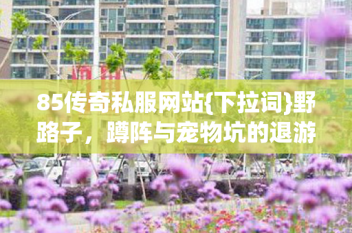 85传奇私服网站{下拉词}野路子，蹲阵与宠物坑的退游经历