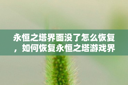 永恒之塔界面没了怎么恢复，如何恢复永恒之塔游戏界面