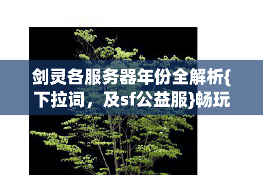 剑灵各服务器年份全解析图片