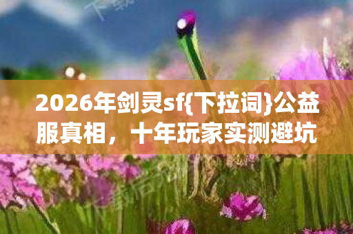 十年玩家实测避坑指南图片