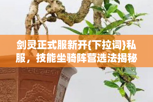 技能坐骑阵营选法揭秘图片