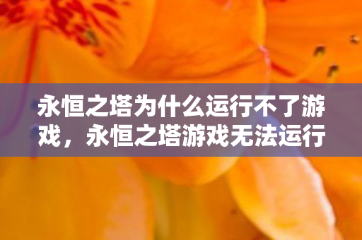 永恒之塔为什么运行不了游戏，永恒之塔游戏无法运行的原因分析