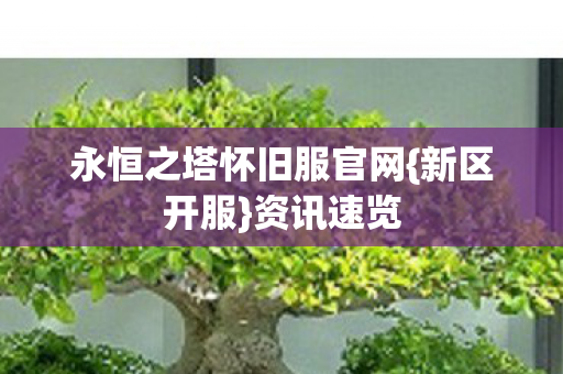 永恒之塔怀旧服官网图片