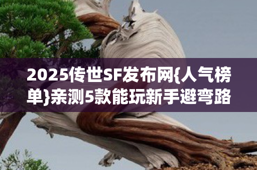 2025传世SF发布网图片