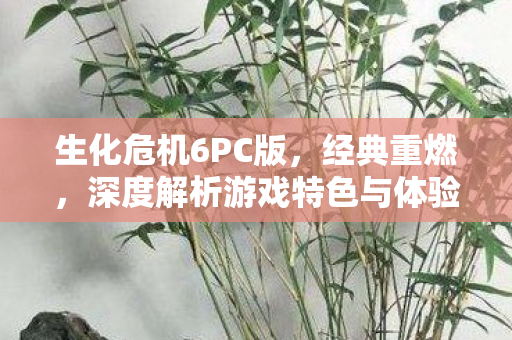 生化危机6PC版，经典重燃，深度解析游戏特色与体验，生化危机6PC版，经典重燃，深度解析游戏特色与体验