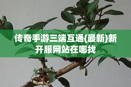 传奇手游三端互通{最新}新开服网站在哪找 传奇手游三端互通{最新}新开服网站在哪找