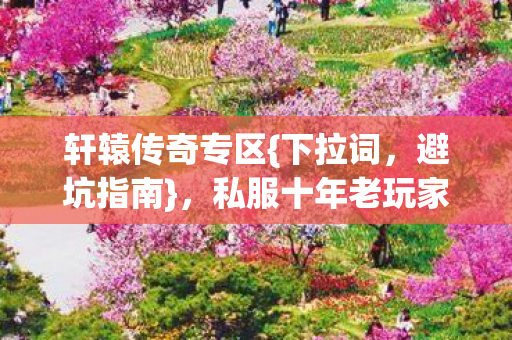 轩辕传奇专区{下拉词，避坑指南}，私服十年老玩家血泪史2026必看