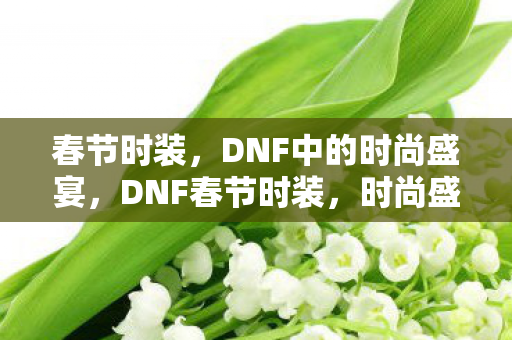 春节时装，DNF中的时尚盛宴，DNF春节时装，时尚盛宴来袭