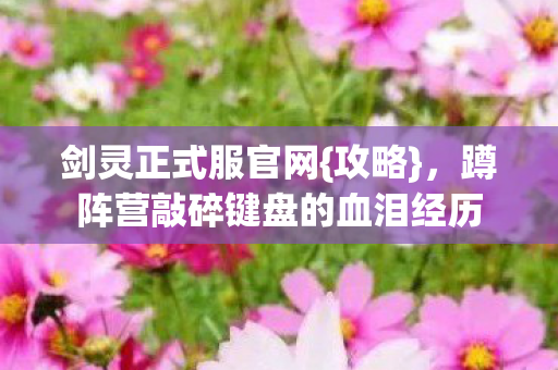 蹲阵营敲碎键盘的血泪经历图片