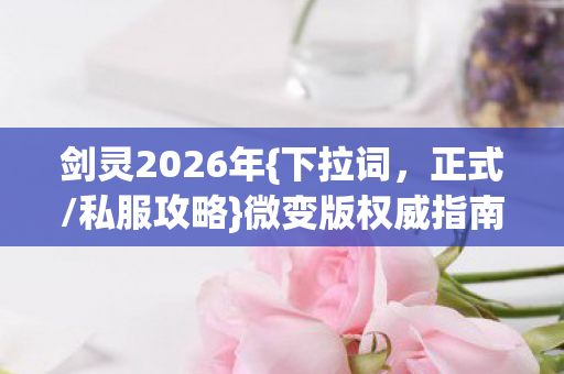 微变版权威指南速成全解图片