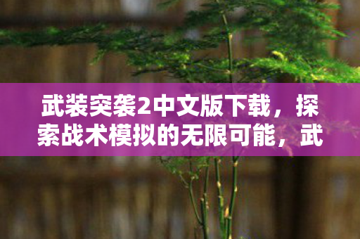 武装突袭2中文版下载，探索战术模拟的无限可能，武装突袭2中文版下载，探索战术模拟的无限可能