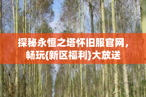 探秘永恒之塔怀旧服官网图片