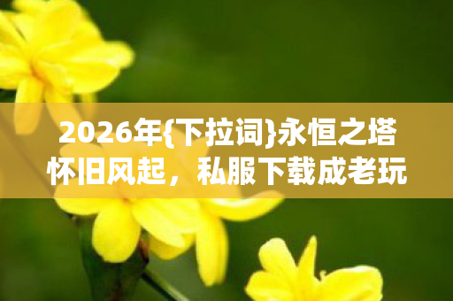 私服下载成老玩家归宿图片