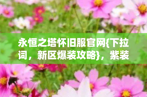 永恒之塔怀旧服官网图片