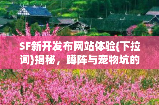 SF新开发布网站体验图片