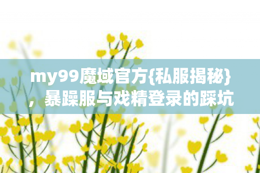 暴躁服与戏精登录的踩坑经历图片
