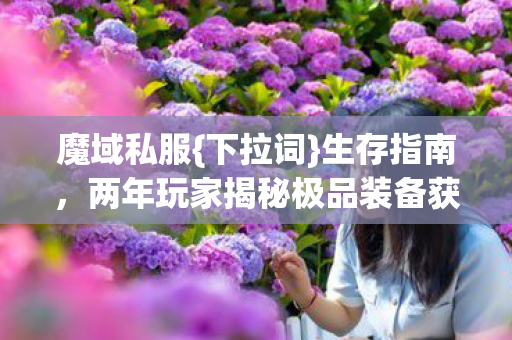 两年玩家揭秘极品装备获取图片
