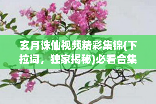 玄月诛仙视频精彩集锦图片