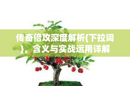 传奇倍攻深度解析{下拉词}，含义与实战运用详解