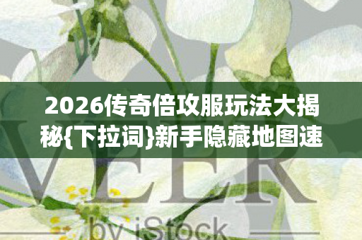 2026传奇倍攻服玩法大揭秘{下拉词}新手隐藏地图速通攻略